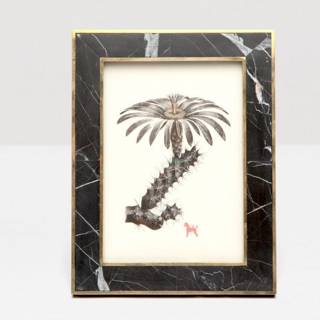 Pigeon and Poodle Thun Frame Nero Marble / Brass Metal